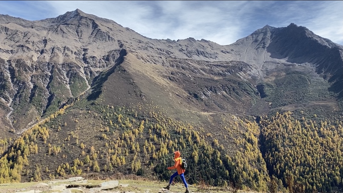 不久前付费推广轻量化搭建您的网络平台,开启流量增长新征程,qq白马业务网：腾讯QQ白马服务升级用户体验优化